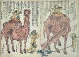 Edo period ukiyo-e painting by Utagawa Kuniyasu (1794-1832). The camels and musicians are redolent of the Tang Dynasty and the Silk Road, especially Sogdian or Central Asian entertainers at the Tang Court.