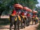 Thailand: Tourists on elephants in Ayutthaya Historical Park