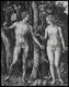 Antiquity: Adam and Eve in the Garden of Eden, depicted in a 1504 ink engraving by Albrecht Durer titled ‘The Fall’.